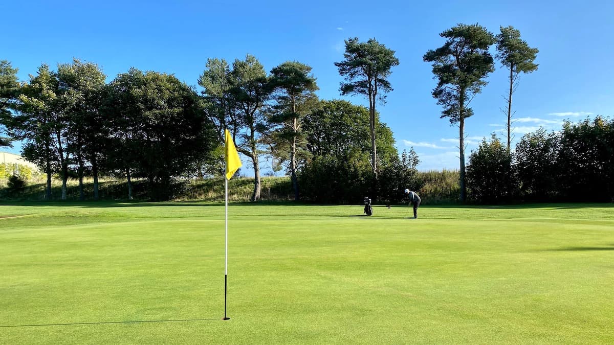 The Ultimate Day Out