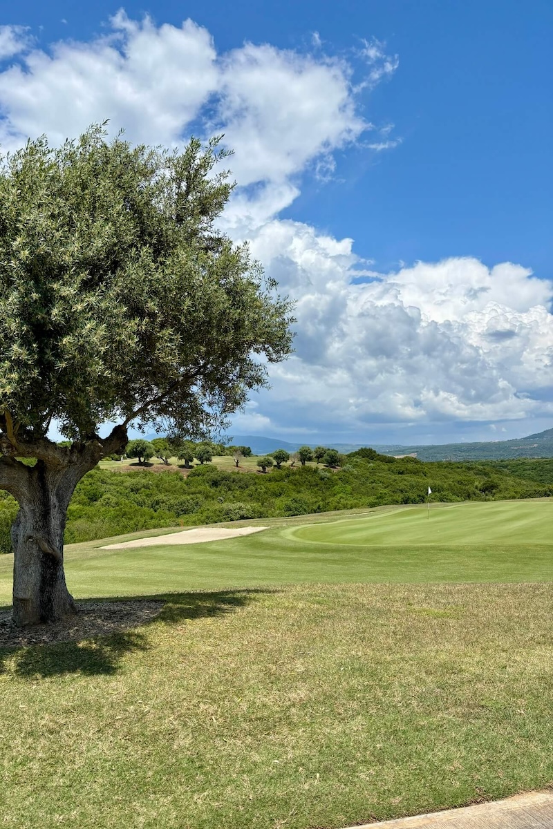 Costa Navarino - Hills